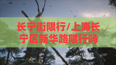 长宁街限行/上海长宁区新华路限行吗