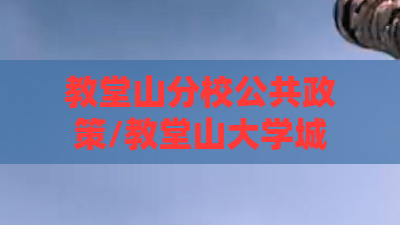 教堂山分校公共政策/教堂山大学城