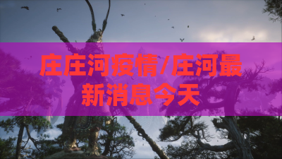 庄庄河疫情/庄河最新消息今天