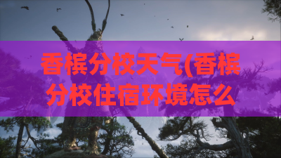 香槟分校天气(香槟分校住宿环境怎么样)