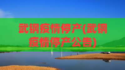 武钢疫情停产(武钢疫情停产公告)