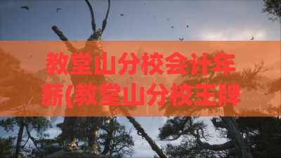 教堂山分校会计年薪(教堂山分校王牌专业) 教堂山分校会计年薪(教堂山分校王牌专业)