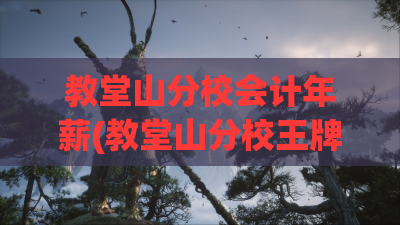 教堂山分校会计年薪(教堂山分校王牌专业) 教堂山分校会计年薪(教堂山分校王牌专业)
