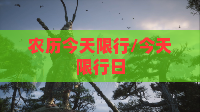 农历今天限行/今天限行日
