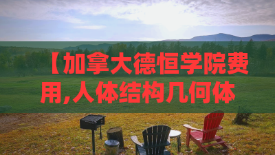 【加拿大德恒学院费用,人体结构几何体速写】