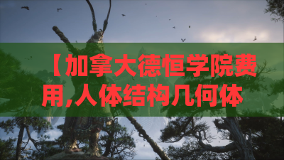 【加拿大德恒学院费用,人体结构几何体速写】