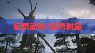 疫情面纱/疫情时局