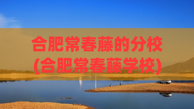 合肥常春藤的分校(合肥常春藤学校)