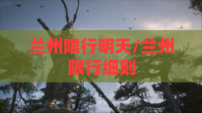 兰州限行明天/兰州限行细则 兰州限行明天/兰州限行细则
