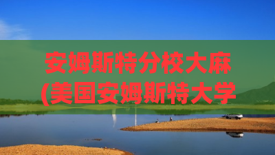 安姆斯特分校大麻(美国安姆斯特大学) 安姆斯特分校大麻(美国安姆斯特大学)