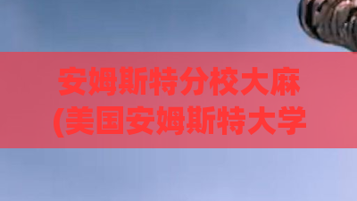安姆斯特分校大麻(美国安姆斯特大学)