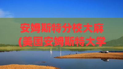 安姆斯特分校大麻(美国安姆斯特大学) 安姆斯特分校大麻(美国安姆斯特大学)