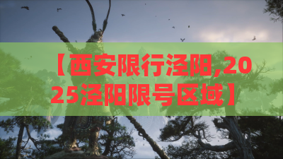 【西安限行泾阳,2025泾阳限号区域】
