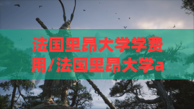 法国里昂大学学费用/法国里昂大学antoni
