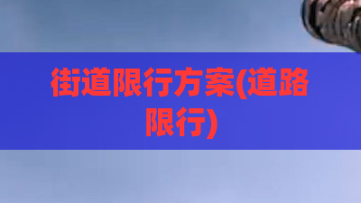 街道限行方案(道路限行) 街道限行方案(道路限行)