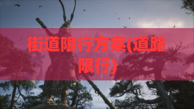 街道限行方案(道路限行) 街道限行方案(道路限行)