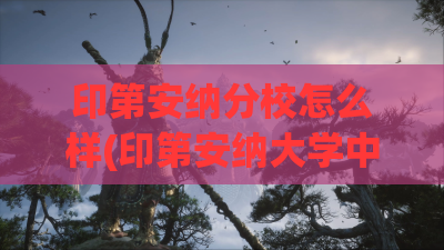 印第安纳分校怎么样(印第安纳大学中文官方网站)