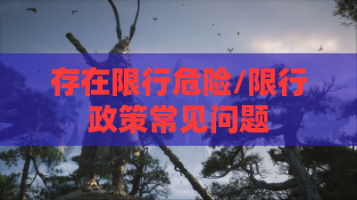 存在限行危险/限行政策常见问题 存在限行危险/限行政策常见问题