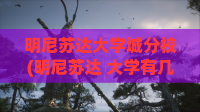 明尼苏达大学城分校(明尼苏达 大学有几个)