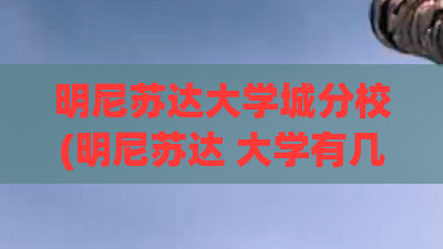 明尼苏达大学城分校(明尼苏达 大学有几个)