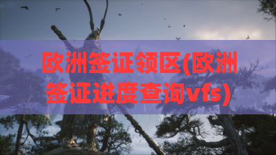 欧洲签证领区(欧洲签证进度查询vfs) 欧洲签证领区(欧洲签证进度查询vfs)