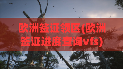欧洲签证领区(欧洲签证进度查询vfs) 欧洲签证领区(欧洲签证进度查询vfs)