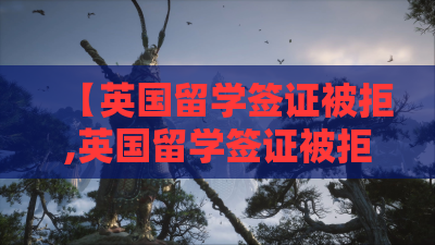 【英国留学签证被拒,英国留学签证被拒是因为哪些细节你知道吗?】
