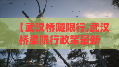 【武汉桥隧限行,武汉桥梁限行政策最新2025】 【武汉桥隧限行,武汉桥梁限行政策最新2025】