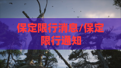 保定限行消息/保定限行通知 保定限行消息/保定限行通知