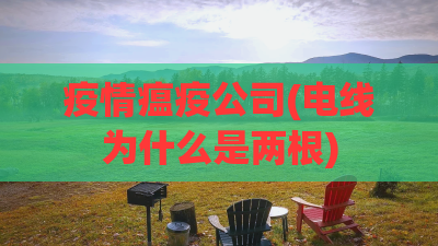 疫情瘟疫公司(电线为什么是两根) 疫情瘟疫公司(电线为什么是两根)
