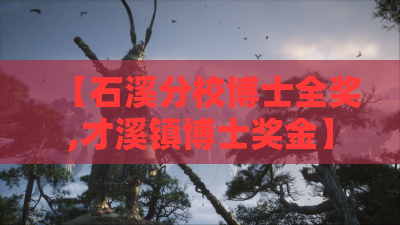 【石溪分校博士全奖,才溪镇博士奖金】