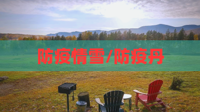 防疫情雪/防疫丹