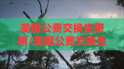 美国公费交换生费用/美国公费交换生费用大概多少 美国公费交换生费用/美国公费交换生费用大概多少