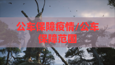 公车保障疫情/公车保障范围 公车保障疫情/公车保障范围