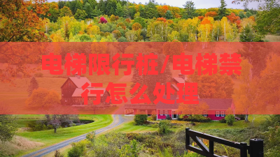 电梯限行桩/电梯禁行怎么处理