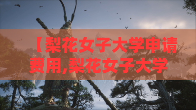 【梨花女子大学申请费用,梨花女子大学2025学费】