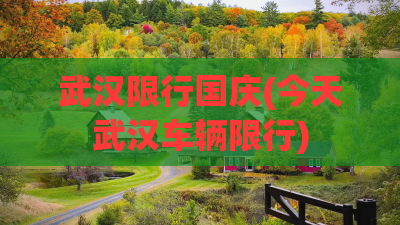 武汉限行国庆(今天武汉车辆限行)