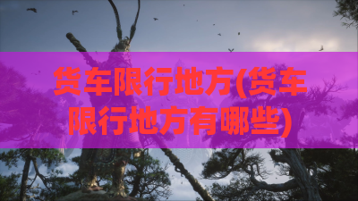 货车限行地方(货车限行地方有哪些)