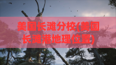 美国长滩分校(美国长滩港地理位置)