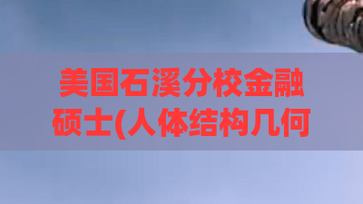 美国石溪分校金融硕士(人体结构几何体速写)