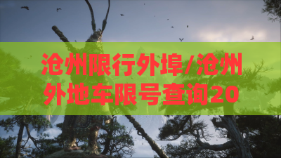 沧州限行外埠/沧州外地车限号查询2026 沧州限行外埠/沧州外地车限号查询2026
