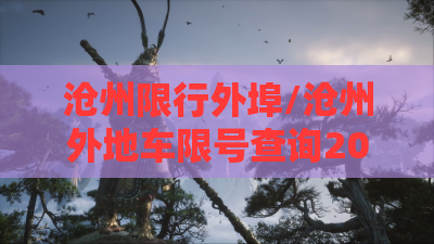 沧州限行外埠/沧州外地车限号查询2026 沧州限行外埠/沧州外地车限号查询2026